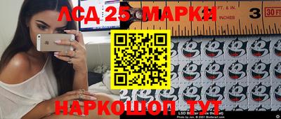 крисы Тверь