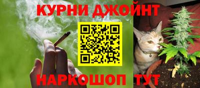 крисы Тверь