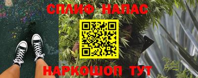 крисы Тверь