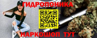 крисы Тверь