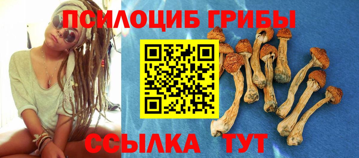 наркошоп  Псилоцибиновые грибы Magic Shrooms  Вход с VPN  Богданович 